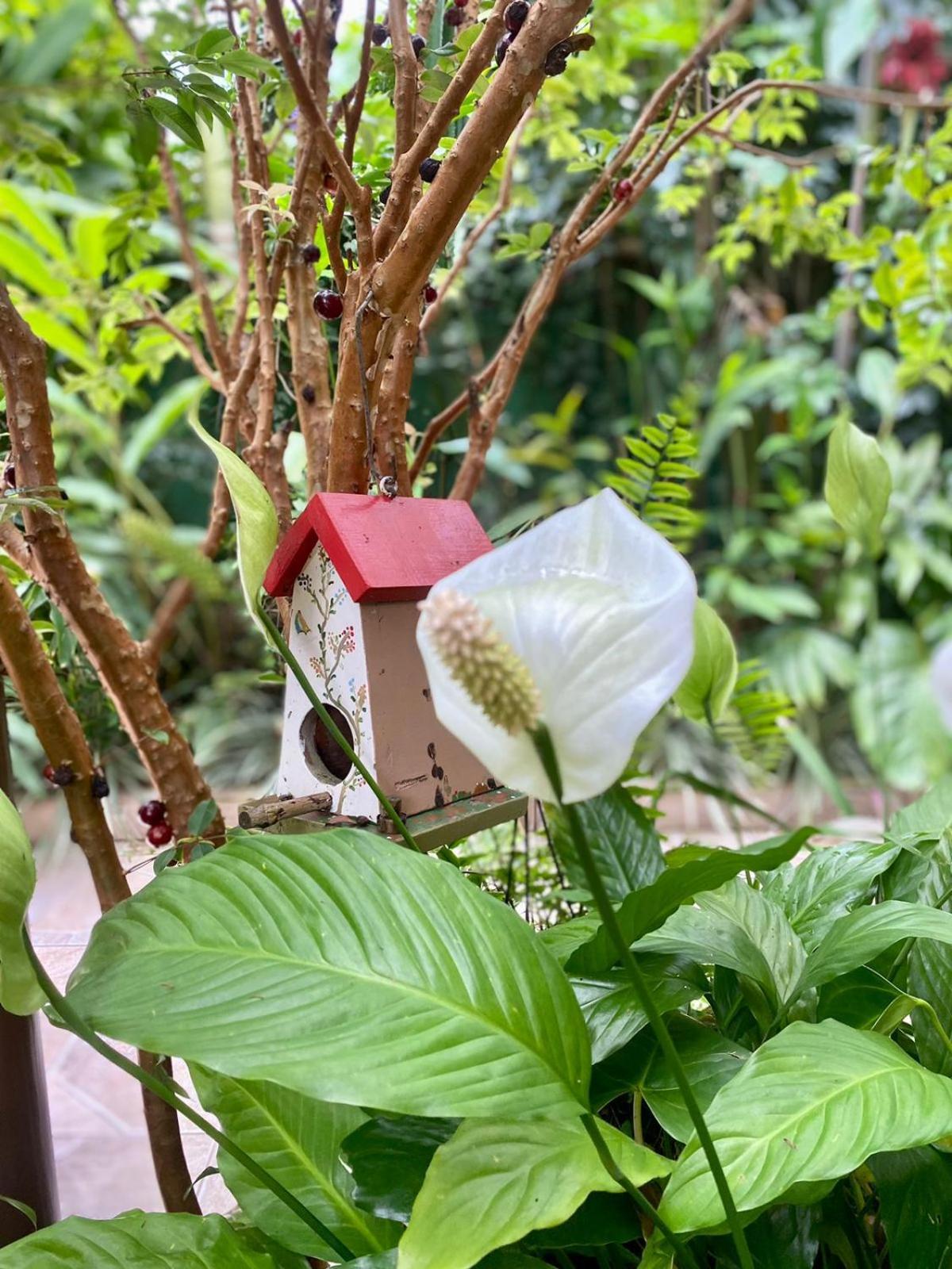 Recanto Toca das Plantas de Ilhabela II Zimmer foto